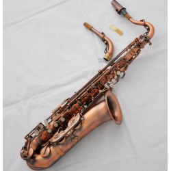 C Melody Saxofón Alto F# Saxo Recto en Rojo Color Antiguo + Cuello Curvo con Estuche