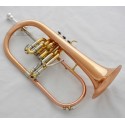 Bb Flugelhorn 3 Monel Valve Cupronickel Tuning con Case Professional Rose Brass