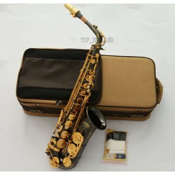 Saxofón Alto Negro Niquelado Pro Eb Sax con Caja, Hermosa Campana Grabada