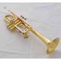 Gold Lacquer C Key Trumpet Horn Monel Valves Cupronickel Tuning Pipe With Case