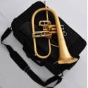 Professional Level Matte Gold Flugelhorn Gold Brass Bell Trigger HORN Pro.Case