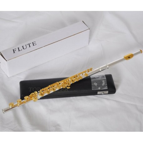 Silver Gold Plated Flute 17 Open Holes B Foot Italian Pads With Case