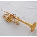 Electrophoresis gold Trumpet New C Key Horn Monel Valves With Case