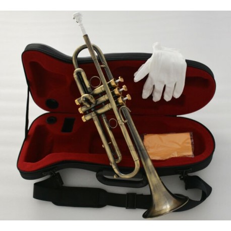 Professional Antique Bronze Trumpet horn Bb Keys With Monel valve Hard Case