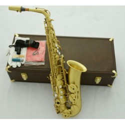 Professional 54 Reference Alto Saxophone Brushed Yellow Brass Sax Leather Case