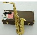 Professional 54 Reference Alto Saxophone Brushed Yellow Brass Sax Leather Case