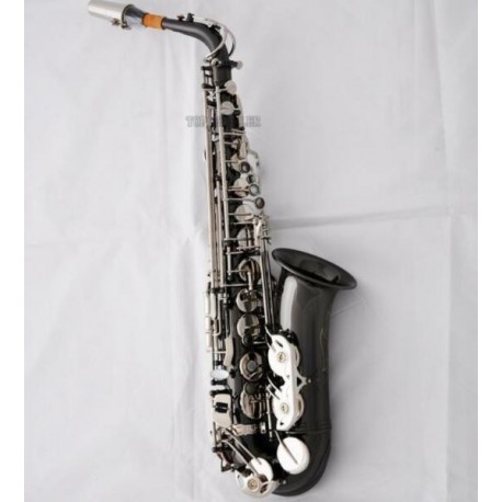 Professional Rolled Note Hole Alto Saxophone Black nickel Silver Sax Case