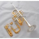 Superbrass Professional Silver/Gold Plated Eb/D Trumpet horn Monel Valve With Case