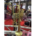 Professional Rotary Valve Trumpet Brushed Brass B-Flat Horn With Case