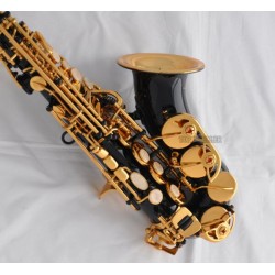 High Grade Black gold Curved Soprano Saxophone Gold bell Sax High F# with case