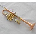 Professional Phosphor Brass C Key Trumpet horn Monel Valves Case