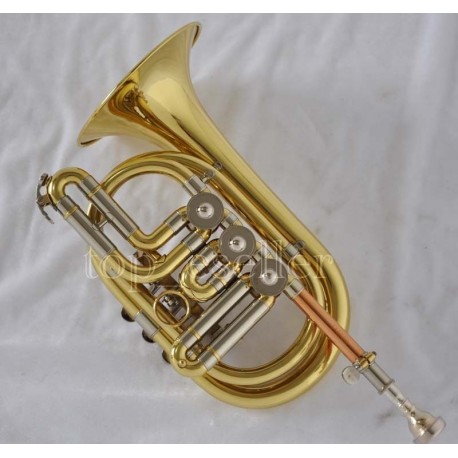 Professional Gold Eb Sopranino Sax Saxophone Low Bb to high E With ABALONE Keys