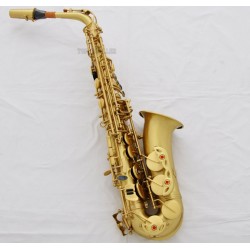 Top Quality Yellow Antique Alto Saxophone High F# Sax Black Shell Key With Case