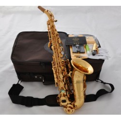 Professional Superbrass Gold Curved Soprano Sax Saxophone Abalone Bb High F#
