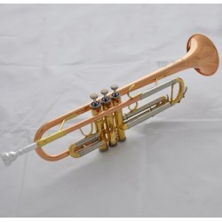 Professional phosphor copper straight line Cylinder Trumpet horn Monel Valves With Case