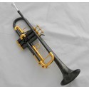 Professional.Black Nickel Gold Plated Trumpet Bb Key Engraving Bell Horn With Case