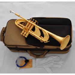 Professional Satin Gold Plating Heavy Trumpet Horn Bb Monel Valve Germany Brass
