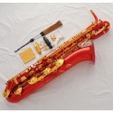 Professional Red Baritone Saxophone Dragon Engraving sax Low A to High F# + Designer Case