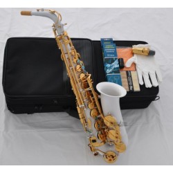 White Lacquer Alto Saxophone Eb Sax Abalone Keys High F# With Case 10pc Reeds