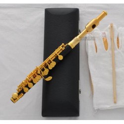 Top Black Bakelite C Key Piccolo Flute Gold Plated Key Italian pad +Leather Case