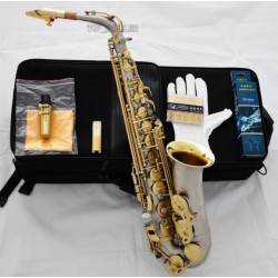 AAAAA TOP Matte Nickel Alto saxophone Eb Sax Free Metal mouthpiece 10Pc Reed New