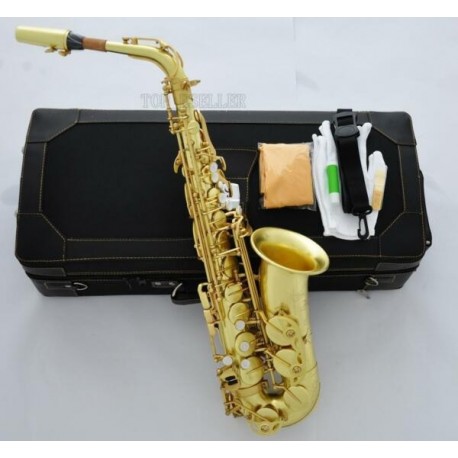 Professional Original Brass Alto Saxophone Customized sax Case