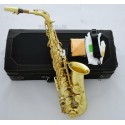 Professional Original Brass Alto Saxophone Customized sax Case