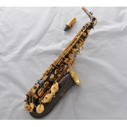 Professional Rolled Note Hole Eb Alto Saxophone Black Nickel gold bell Sax