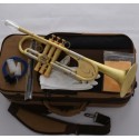 Customized Professional B-Flat Trumpet horn Brushed Brass Great Sound Warranty
