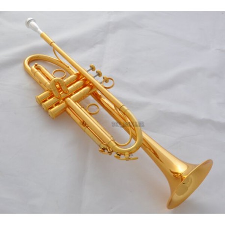 Professional Gold Plated Finish Trumpet Horn Germany Yellw Brass With Case