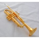 Professional Gold Plated Finish Trumpet Horn Germany Yellw Brass With Case