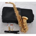 Professional Gold Alto Saxophone Eb Abalone Keys Sax High F# Double Bars, Case