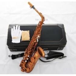 Professional Mercury Alto Sax Matte Coffee Saxophone 875 Model Saxofon With case