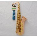 Professional Phosphor Brass Tenor saxophone High F# B-Flat Sax ABALONE Keys