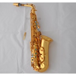 Professional 54 Reference Alto Saxophone Gold Sax High F# with Case