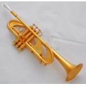 Professional Satin Gold Plating Heavy Trumpet Horn Amado Water key Case