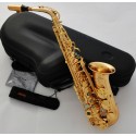 Professional Hand Hammered Alto Saxophone Gold Plated Eb Sax Reversed Neck +Case