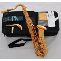 Professional Electrophoresis Gold C Melody Saxophone Sax High F#, 2 Necks