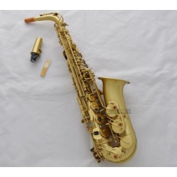 Professional Yellow Antique Eb Alto Saxophone High F# Auxiliary Sound Hole Sax with Case