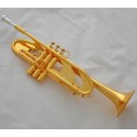 Professional Level shiny gold plating Trumpet Heavy horn Bb Monel Valve case