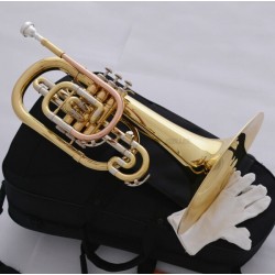 Professional Gold Marching Mellophone F Key Monel Valves With Case