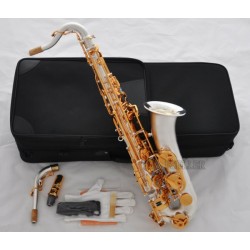 Professional SATIN SILVER C Melody Saxophone sax High F# ABALONE Keys, 2 Necks