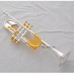 Professional Heavy C Key Trumpet Silver/Gold Customized series Horn Case