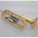 Professional Level C Key Bass Trumpet 4 Rotary Valve Gold Brass Body PRO.Case