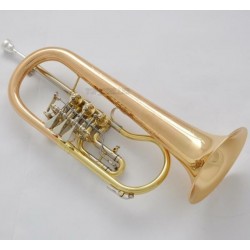 Professional Rotary Valve Flugelhorn Gold Brass BB Horn Engraving Bell With case