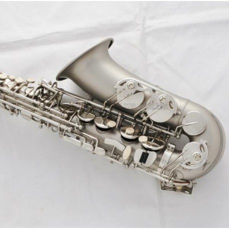 Pro Matte Nickel Alto Saxophone Sax High Pitch D,#D Height adjustable of F key
