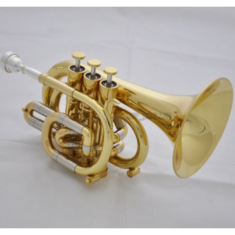 Professional C Key Pocket Trumpet Gold Lacq Cornet Horn Monel Valve Case