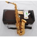Professional Gold Brass Customized Alto Saxophone E-Flat sax Case