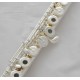 Open Hole Silver Flute Offset G Key B foot Split E With Case Professional Series. 17 holes