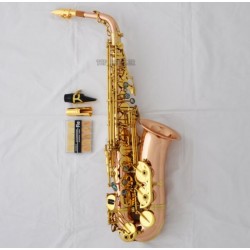 Professional Rose Brass Alto saxophone Abalone Key Sax +Leather Case Matal Mouth
